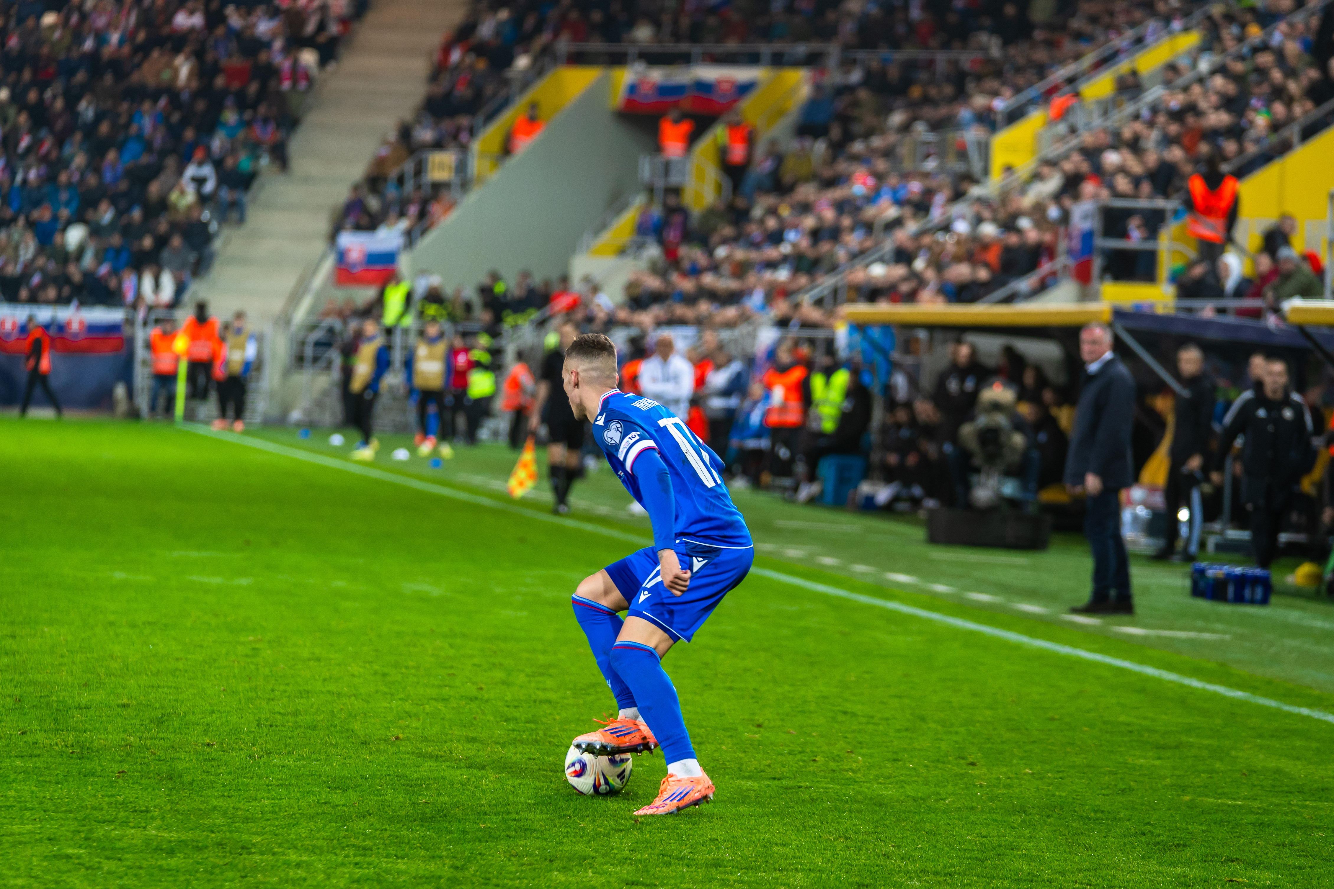 Slovensko vs Severne Irsko-39